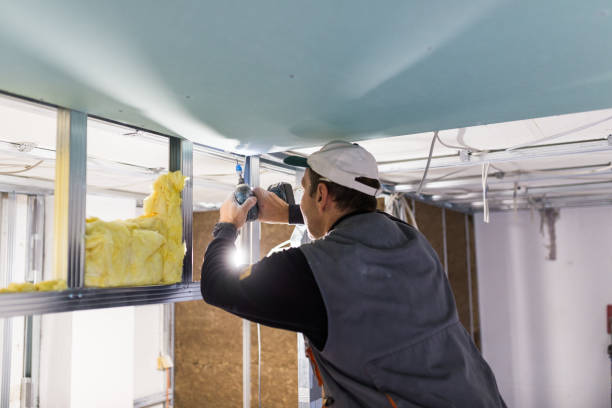 Best Commercial Insulation in Racend, LA