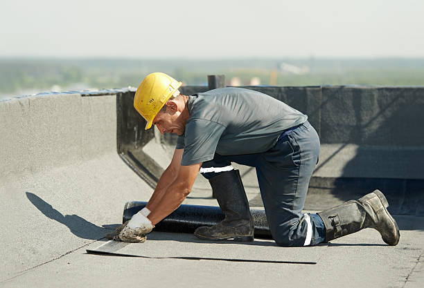 Best Specialized Insulation Services in Racend, LA