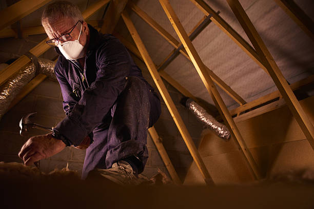Types of Insulation We Offer in Raceland, LA